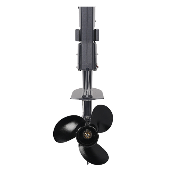 ЛОДОЧНЫЙ МОТОР ALLFA CG T5 в Санкт-Петербурге