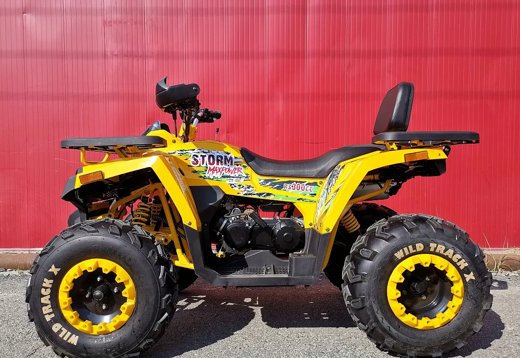 Квадроцикл PROMAX STORM 280 LUX в Санкт-Петербурге