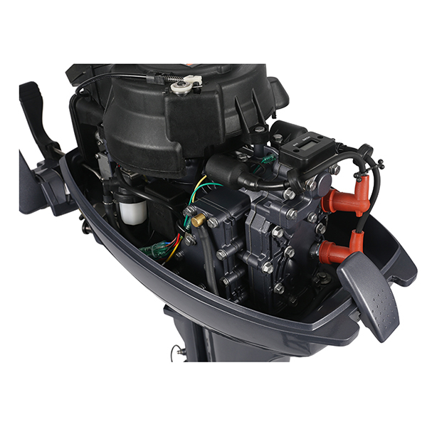 ЛОДОЧНЫЙ МОТОР ALLFA CG Т9,9 в Санкт-Петербурге