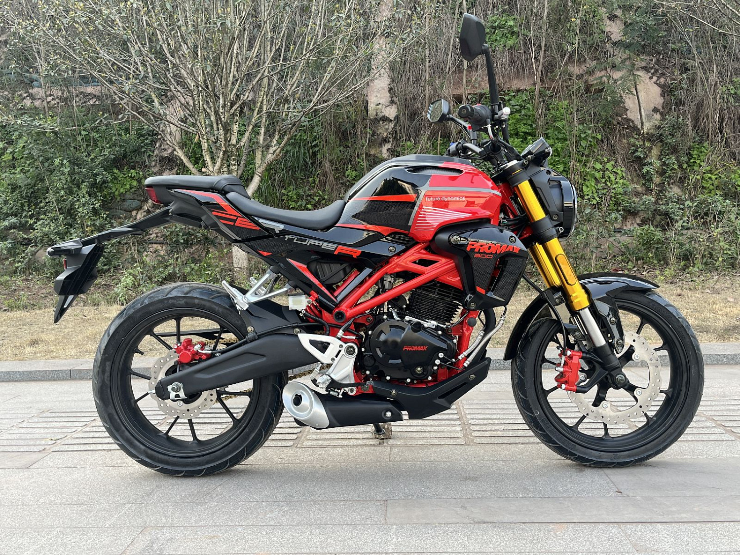 Мотоцикл PROMAX CB300 в Санкт-Петербурге