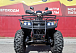 Квадроцикл PROMAX TRX300 CVT в Санкт-Петербурге