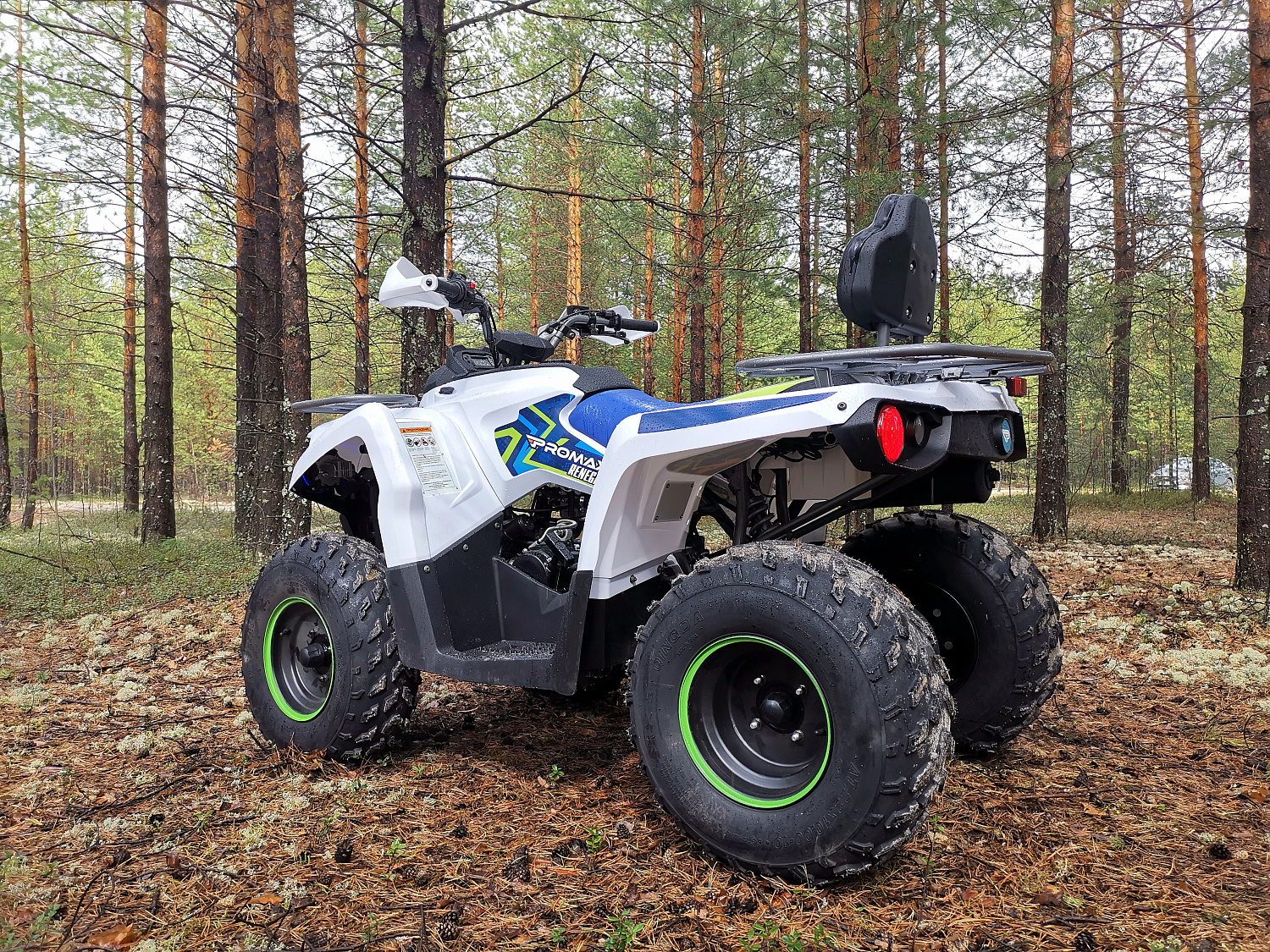Квадроцикл PROMAX RENEGADE 280 (2025) в Санкт-Петербурге