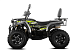 Квадроцикл GBM CROSS HILL 320 BIG PREMIUM в Санкт-Петербурге