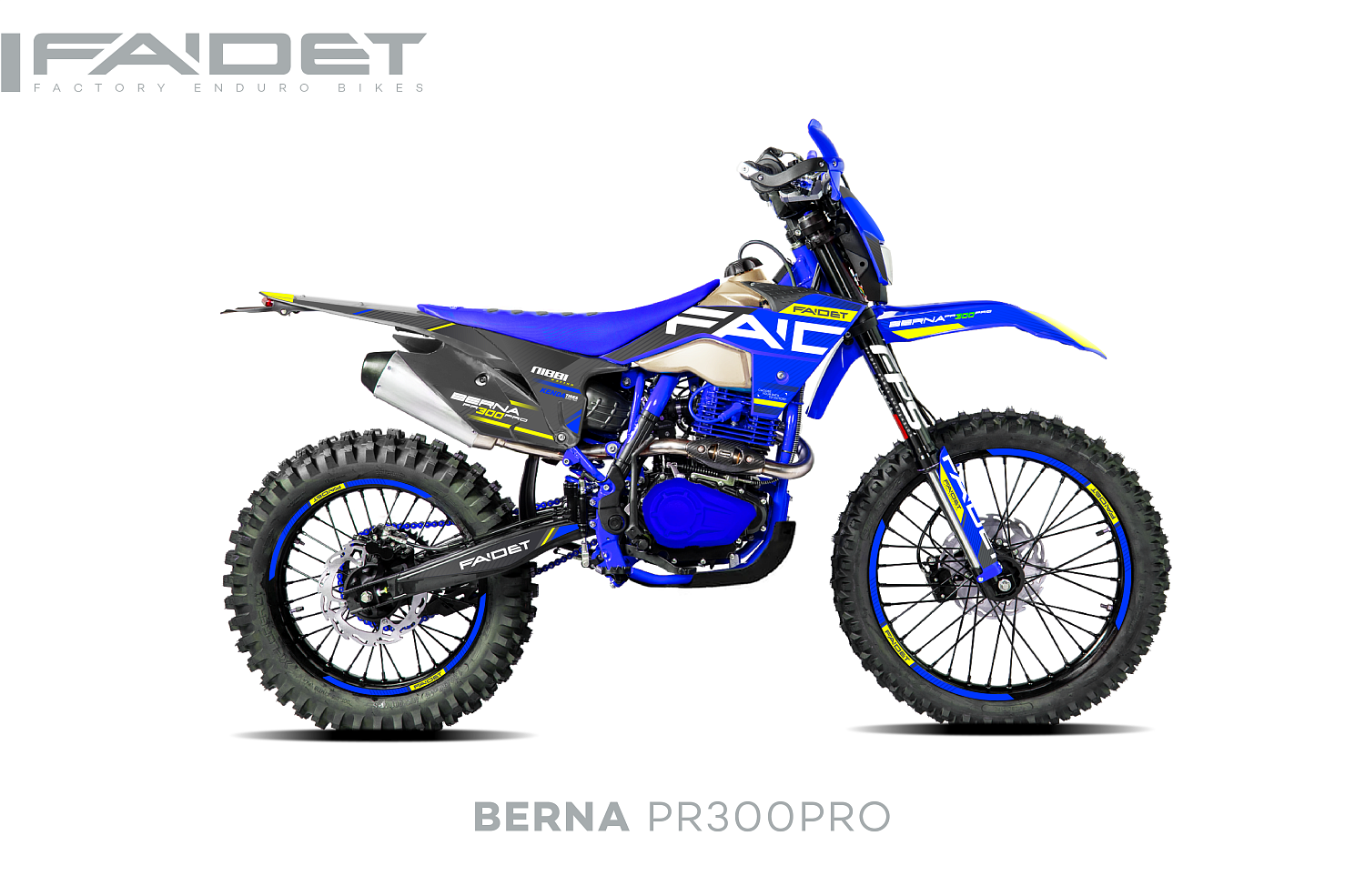 Кроссовый мотоцикл FAIDET BERNA PR300-PRO FPS в Санкт-Петербурге