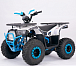 Квадроцикл YACOTA SIRIUS 110 в Санкт-Петербурге