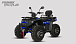 Квадроцикл PROMAX TAURUS 300 MAX-PRO LONG в Санкт-Петербурге