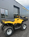 КВАДРОЦИКЛ IRBIS ATV 250  в Санкт-Петербурге