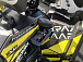 Квадроцикл PROMAX TAURUS 300 MAX-PRO в Санкт-Петербурге