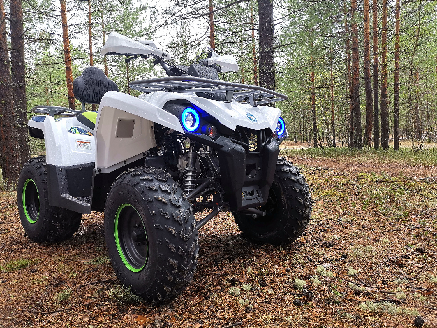 Квадроцикл PROMAX RENEGADE 280 (2025) в Санкт-Петербурге