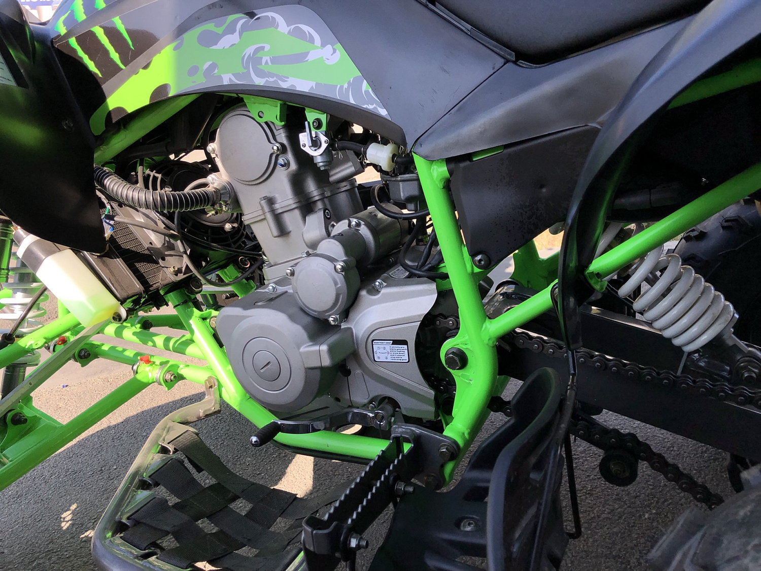 Квадроцикл PROMAX RAPTOR 300 NEW Monster в Санкт-Петербурге