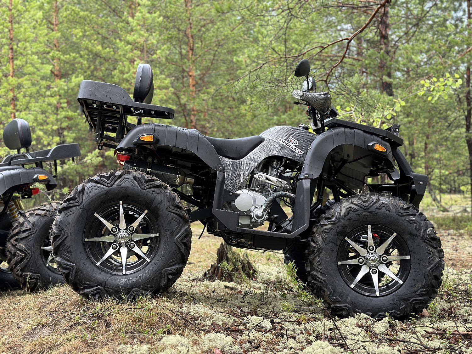 Квадроцикл PROMAX 320 DOMINATOR (2025) в Санкт-Петербурге