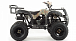 Квадроцикл MOTOLAND (МОТОЛЕНД) 200 ALL ROAD в Санкт-Петербурге