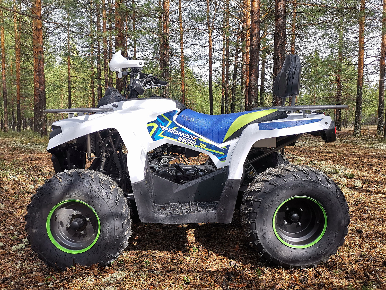 Квадроцикл PROMAX RENEGADE 280 (2025) в Санкт-Петербурге