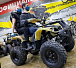 Квадроцикл PROMAX ATV 250 (2025) в Санкт-Петербурге