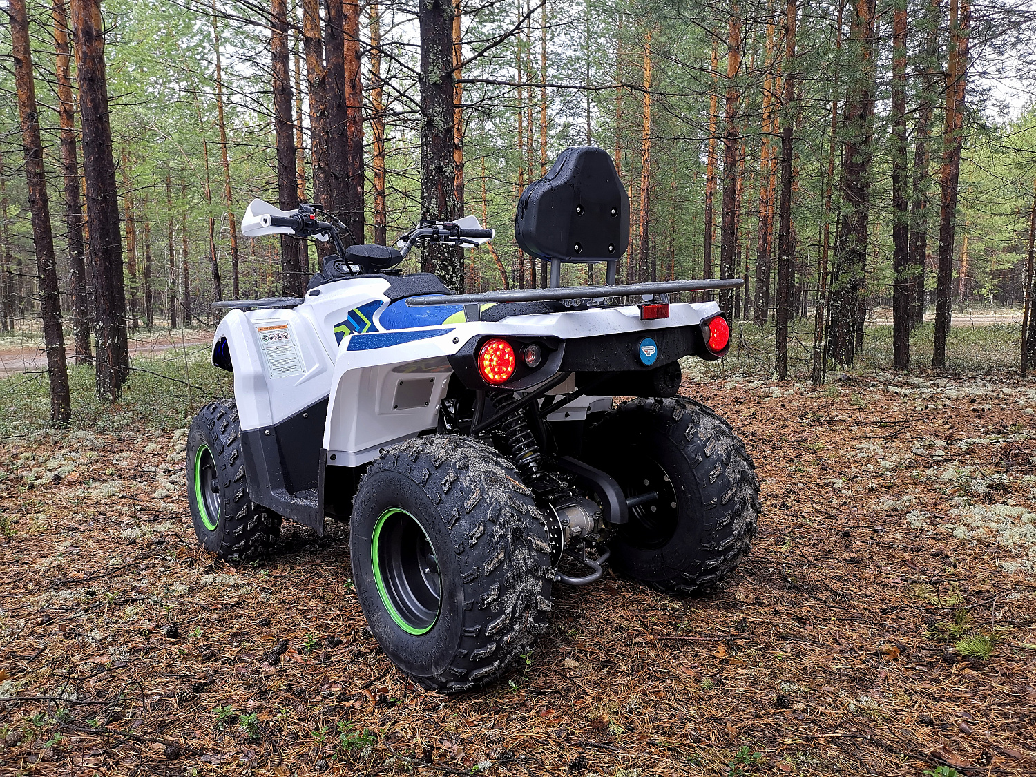 Квадроцикл PROMAX RENEGADE 280 (2025) в Санкт-Петербурге