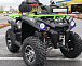 Квадроцикл PROMAX RENEGADE 280 WINCH PRO (2025) в Санкт-Петербурге