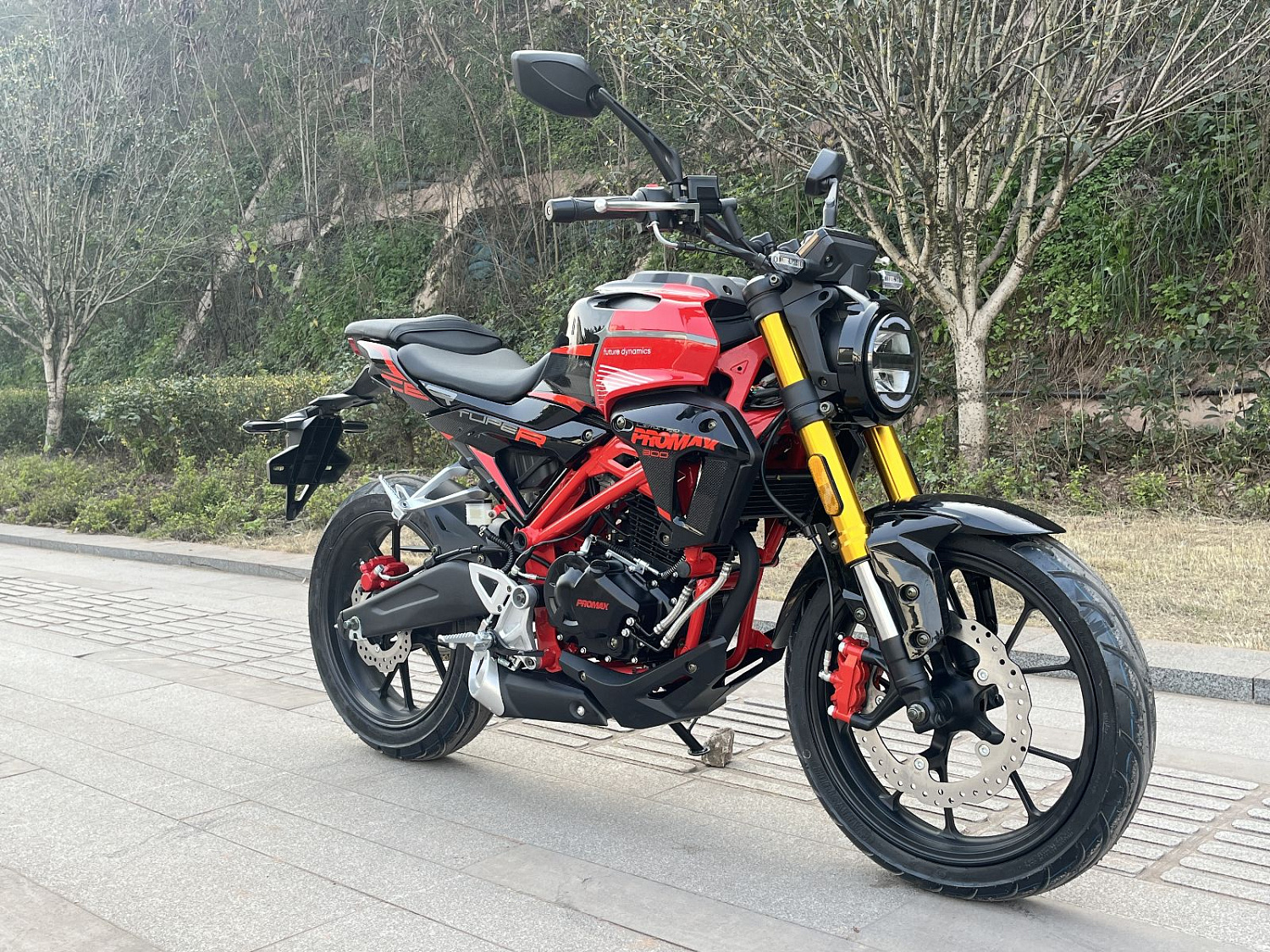 Мотоцикл PROMAX CB300 в Санкт-Петербурге