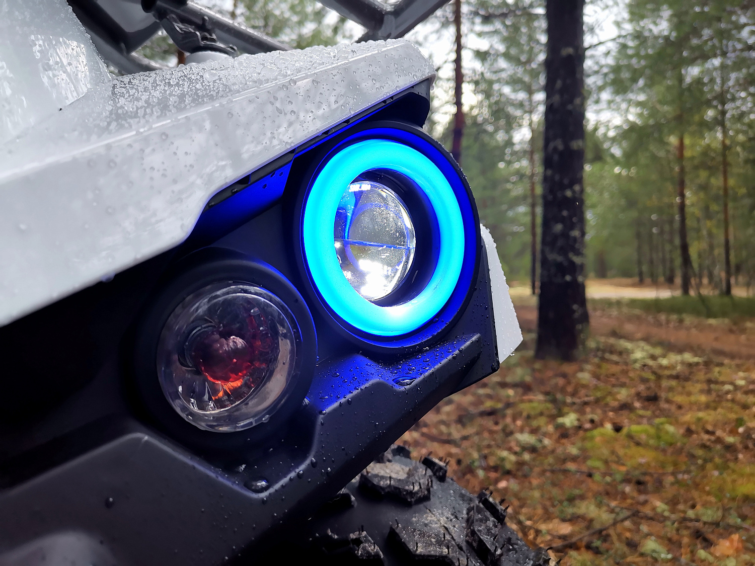 Квадроцикл PROMAX RENEGADE 280 (2025) в Санкт-Петербурге