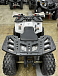 Квадроцикл PROMAX WILD 2.0 190 в Санкт-Петербурге