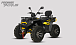 Квадроцикл PROMAX TAURUS 300 MAX-PRO LONG в Санкт-Петербурге